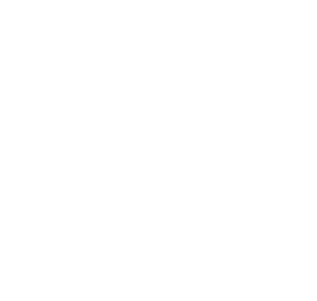 Pärnävaaran logo