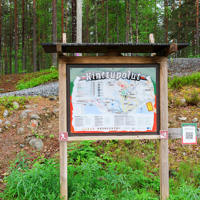Woodland trails