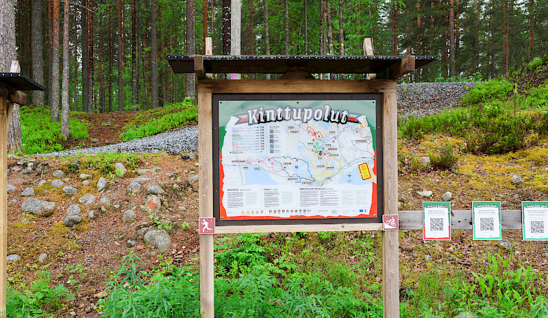 Woodland trails