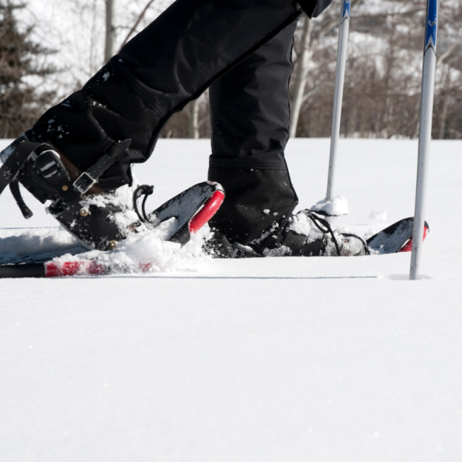 Snowshoes