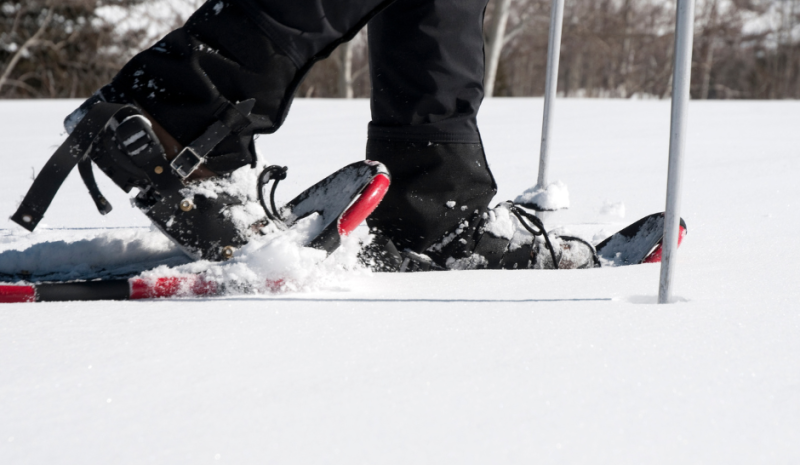 Snowshoes