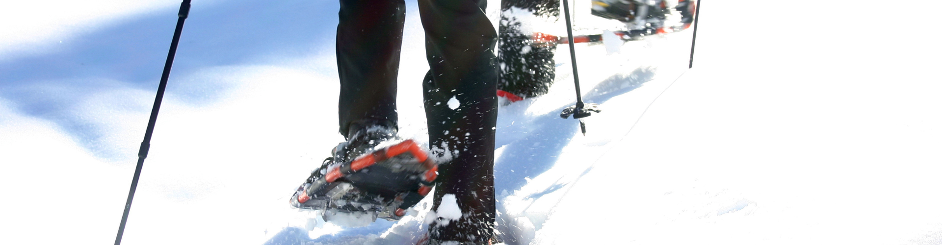 Snowshoes