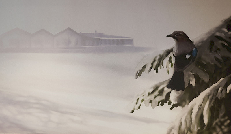 Standard Twin – Närhi